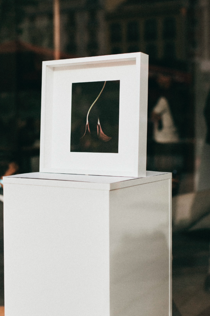 Álvaro Gracia fotógrafo, exposición Colisión